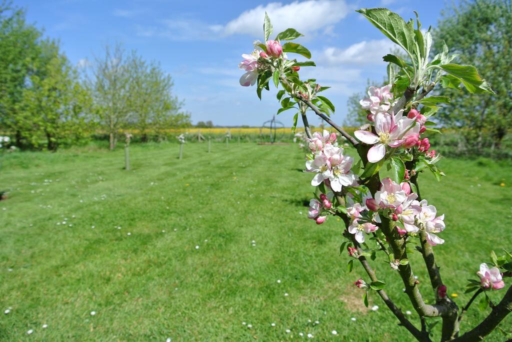 Frith Farm House Cottages Newnham  部屋 写真